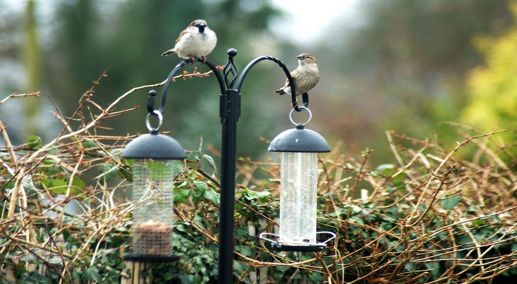 Eske Villa Bed&Breakfast Donegal Town Esterno foto